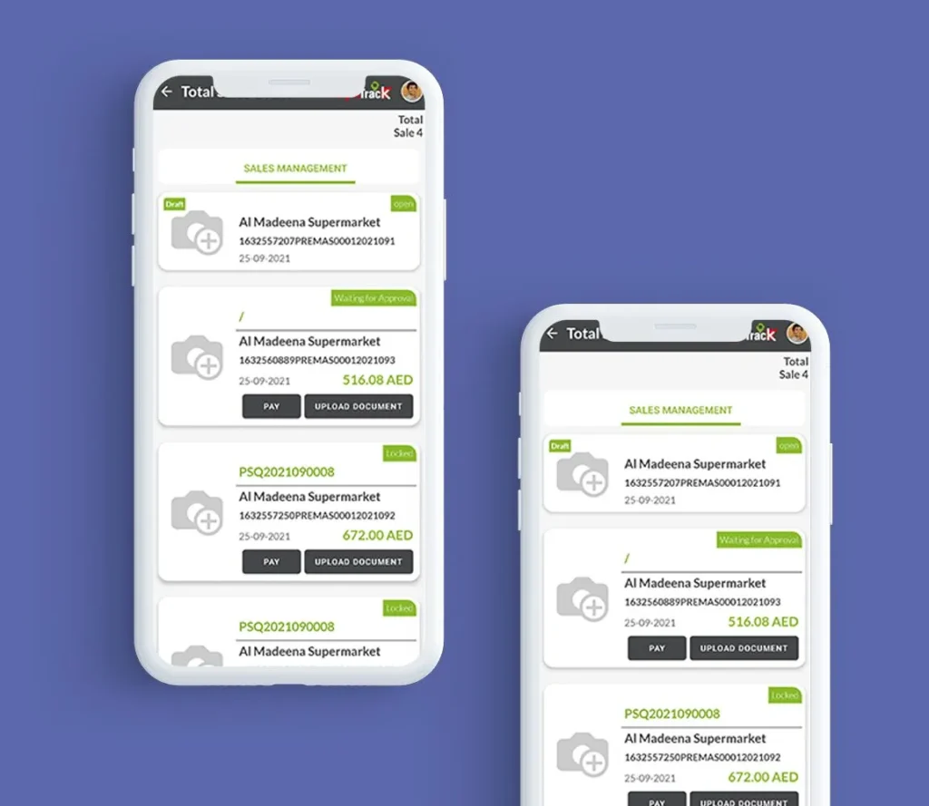 Direct store delivery software UAE